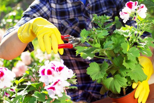 Customer raising a landscaping complaint during a service review