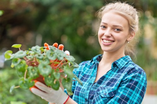 Professional hedge trimming in a West Ham garden