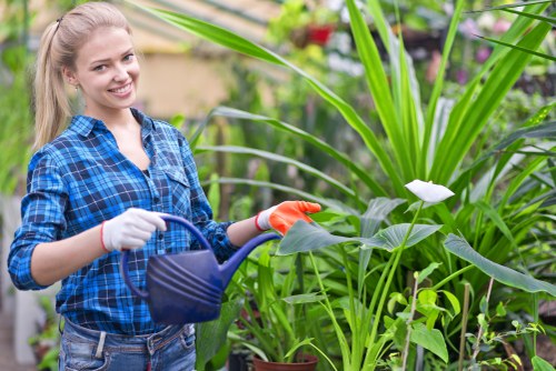 A young woman with blonde hair wearing a blue plaid shirt and white gloves is watering tall, leafy green plants in an outdoor garden setting. The garden features a variety of lush foliage, with some plants showing broad, green leaves, and others with slender, grass-like blades. The woman is smiling and standing among the vibrant greenery, which includes potted plants arranged along a paved or gravel area. The background displays additional garden elements, possibly flower beds and garden structures, suggesting a well-maintained outdoor space in West Ham. The scene captures a bright, possibly sunny day, emphasizing the natural tones of the garden elements and the healthy condition of the plants. This image exemplifies garden care and planting activities typical of local landscaping services, supporting the themes on the West Ham Planting Services page by illustrating a gardener tending to outdoor greenery.