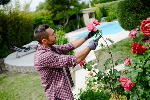 A man with short dark hair, wearing a red and white checkered shirt and gardening gloves, is tending to pink flowering roses in a well-maintained backyard garden. The garden features a lush green lawn with dense shrubs and hedges bordering the space. In the background, there is a swimming pool with clear blue water, surrounded by a stone patio and garden furniture, including a lounge chair. Tall trees and additional garden greenery create a natural and private outdoor environment. The weather appears to be bright and clear, suggesting a sunny day suitable for gardening activities. The scene demonstrates outdoor maintenance work typical of professional lawn and garden care services offered by Landscapers West Ham, emphasizing the neat layout, healthy plant growth, and inviting landscape design characteristic of high-quality gardening and landscaping services in the West Ham area near postcode E13.