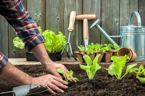 The image shows a gardener planting young green lettuce seedlings in dark, rich soil within a backyard garden. In the foreground, the gardener's hands are carefully placing the seedlings, while a tray of additional seedlings sits nearby. The garden is enclosed by a weathered wooden fence, suggesting an outdoor space in West Ham, with various gardening tools such as a small hand rake, a watering can, and a spade arranged on a wooden surface. The soil appears freshly prepared and free of weeds, indicating recent planting activity. Surrounding the planting area are other garden beds and a lush hedge, contributing to a well-maintained, landscaped yard designed for vegetable cultivation. The environment appears mild and overcast, providing ideal conditions for plant growth. This scene reflects professional gardening services provided by Landscapers West Ham, focusing on vegetable bed creation and outdoor garden maintenance, supporting local horticultural efforts within the area's outdoor spaces. The overall setting emphasizes a neat, productive garden environment suited for sustainable gardening practices.