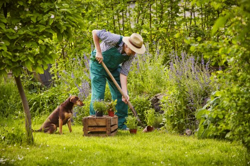A person wearing a straw hat, blue overalls, and a checked shirt is tending to a lush garden in West Ham, with various green plants, shrubs, and flowering herbs visible. They are using a small garden rake to work on the soil around a wooden planter box filled with potted plants, situated on a well-maintained lawn with bright green grass. To the person's left, a brown dog sits attentively, observing the gardening activity. In the background, there are mature trees and a dense hedge, providing privacy and a natural backdrop to the outdoor space. The garden appears vibrant and healthy, with a mix of flowering plants, leafy foliage, and well-manicured turf, under soft daylight with gentle shadows indicating a clear day. This scene exemplifies typical residential garden care and landscaping efforts often undertaken by professional local landscapers such as Landscapers West Ham, supporting outdoor leisure and gardening services in the area.
