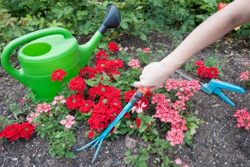 The image depicts a close-up view of a garden scene with a variety of flowering plants, primarily pink and red blossoms, arranged along a flower bed border. In the foreground, a person's hand is seen holding a small hand rake, actively tending to the soil or removing weeds from the flower bed. Nearby, a bright green plastic watering can is placed on the dark, well-maintained soil, suggesting ongoing garden care. The background features lush green foliage and dense shrubbery, indicating a healthy, mature garden environment. The scene appears to be outdoors on a bright day with natural lighting, highlighting the vibrant colours of the flowers and greenery. This setting exemplifies typical gardening and outdoor maintenance practices that landscapers in West Ham may offer as part of their services, focusing on garden tidiness, plant care, and flower bed upkeep.