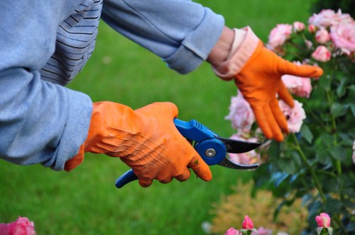 A gardener wearing orange rubber gloves is using pruning shears to trim pink flowering bushes in a well-maintained backyard garden. The garden features a lush, green lawn in the foreground, bordered by flower beds with a variety of plants, including the pink flowering shrubs. In the background, there is a hedge and additional greenery, indicating a landscaped outdoor space typical of residential gardens in West Ham. The weather appears mild and sunny, with natural light illuminating the scene, emphasizing the vibrant colours of the flowers and the healthy condition of the grass and plants. This image showcases detailed attention to garden maintenance and pruning, aligning with services offered by Landscapers West Ham, a local gardening and landscaping specialist providing lawn care, hedge trimming, and plant cultivation services in the area.