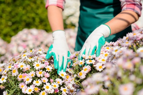 Landscaper pricing quote with garden waste and tools in West Ham