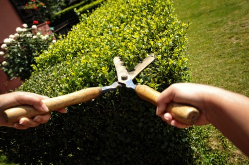 A close-up view of two hands holding garden shears, trimming a dense, well-maintained hedge in a residential garden. The hedge has small, vibrant green leaves and forms a neat, rounded shape, dividing a grassy lawn area from flower beds and other garden features visible in the background. The garden surface includes a lush, evenly cut lawn and areas with soil and decorative plants, suggesting active gardening maintenance typical of West Ham outdoor spaces. Bright natural daylight illuminates the scene, highlighting the healthy foliage and the effort involved in gardening tasks, reflective of professional landscaping and lawn care services offered by Landscapers West Ham.