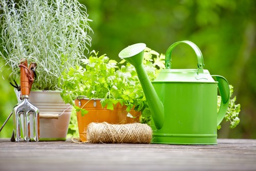 A close-up view of a garden scene featuring several garden tools and potted plants arranged on a wooden surface. On the left, there is a small garden fork with a wooden handle, and next to it, a white pot containing a tall, grey-green herb or shrub. Adjacent to this, there is a terracotta pot filled with lush, bright green foliage, likely herbs or leafy plants. In front of the pots, a coiled natural twine is placed for gardening use. To the right, a bright green plastic watering can with a long spout is positioned prominently, ready for watering plants. The background showcases a blurred outdoor garden environment with green foliage, suggesting a healthy, well-maintained garden space typical of a residential backyard or front garden in West Ham. The scene is lit by natural daylight, indicating a clear weather day, suitable for outdoor gardening activities, consistent with professional gardening and landscaping services in the West Ham area. This image illustrates essential gardening tools and potted plants, aligning with the services offered by Landscapers West Ham for garden maintenance and horticultural care.