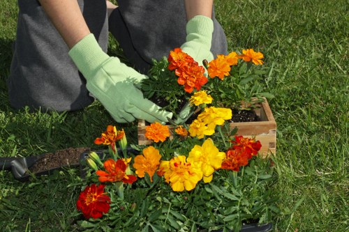 A person wearing light green gardening gloves is planting and arranging vibrant orange, yellow, and red flowering plants in a rectangular wooden planter box on a well-maintained grassy area. The garden setting features lush green grass surrounding the planter, with the person's dark-colored trousers visible in the background. The flowers are densely clustered, displaying natural tones of bright yellow, deep red, and burnt orange, creating a colorful contrast against the green foliage. The scene appears to be taking place outdoors during daylight, possibly on a mild weather day suitable for garden maintenance. The planting activity reflects professional gardening services, such as those offered by West Ham landscape gardeners, focused on enhancing outdoor spaces with colourful flower beds and well-organized planting designs.