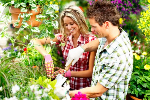 Gardener trimming hedges in West Ham