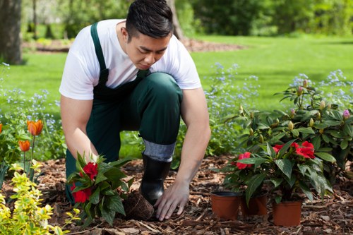 A gardener with short dark hair wearing a white T-shirt, dark green overalls, and gardening gloves is kneeling on a mulched flower bed in a lush backyard in West Ham. He is tending to two potted poinsettia plants with red and green foliage, positioned amidst bright orange tulips and other flowering plants. The garden features a well-maintained lawn with vibrant green grass, bordered by a variety of shrubs and small flowering plants, with mature trees and a dense hedge in the background. The scene is set in natural daylight under a slightly overcast sky, highlighting the healthy, thriving appearance of the garden, which showcases efforts from local landscaping and gardening specialists. The garden's landscape layout includes a mix of flower beds, grassy areas, and shrub borders, reflecting professional outdoor maintenance typical of residential gardens in the West Ham area, supporting garden and landscape services offered by companies like Landscapers West Ham.