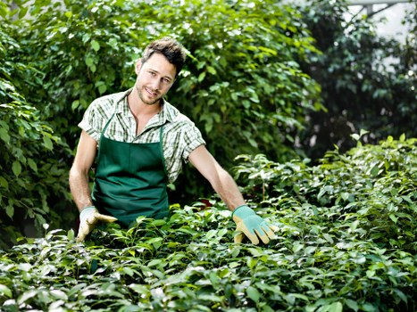 Website cookies policy introduction for Landscapers West Ham