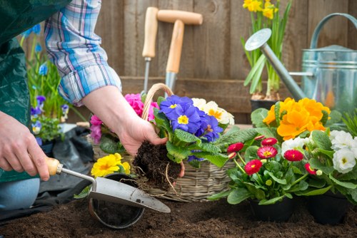 In the image, a person wearing a long-sleeved, checkered shirt is engaged in gardening within a backyard garden area. They are using a small hand trowel to carefully transplant a vibrant purple flowering plant with yellow-centered blossoms into the soil. Surrounding the planting activity are various colorful flowering plants, including yellow, red, and pink blooms, arranged in plastic pots and baskets. In the background, there is a wooden garden fence, along with gardening tools such as a watering can, a garden rake, and a small trowel, all placed on a wooden surface. The garden bed has rich, dark soil with visible texture, and the area appears well-maintained, reflecting typical outdoor gardening work. The scene, set on a partly cloudy day, showcases a tidy and productive garden space suitable for gardening services offered by Landscapers West Ham, emphasizing careful plant care and outdoor beautification suitable for front or back garden landscaping in East London.