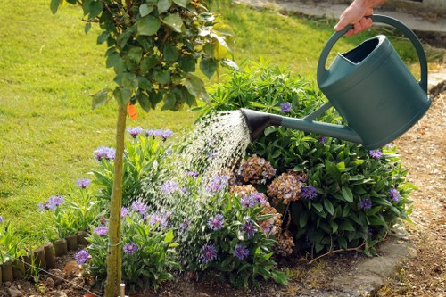 A person watering a garden bed with a dark green watering can, positioned over lush flower plants that include purple and brown flowers. The garden bed is bordered by small wooden edging and contains a variety of greenery, including bushes and a small tree with a thin trunk and green leaves. Surrounding the flower bed is a well-maintained lawn with vibrant green grass, and in the background, there is a larger shrub or hedge. The scene is outdoors during daylight with natural lighting, indicative of typical gardening activity in the West Ham area, supporting local lawn and garden care services. The overall environment is tidy and cultivated, with a focus on flower and shrub maintenance in a residential garden setting.