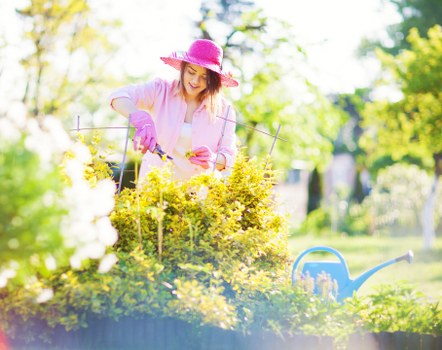 A woman wearing a pink sunhat and gardening gloves is tending to a well-maintained garden bed filled with yellow flowering shrubs and lush green foliage, with some white blossoms visible in the foreground. She is using a small hand tool to prune or weed the plants, which are arranged in a neat border along a paved patio or pathway. Behind her, the garden features a grassy lawn area, with mature trees and a blue watering can placed on the grass. The scene is illuminated by natural sunlight, indicating a clear day with warm weather, and the background shows bright green leaves and a sense of an outdoor space maintained by professional gardening services, such as those offered by Landscapers West Ham, aligned with gardening and outdoor landscape care in the West Ham area, possibly within the E6 postcode district.