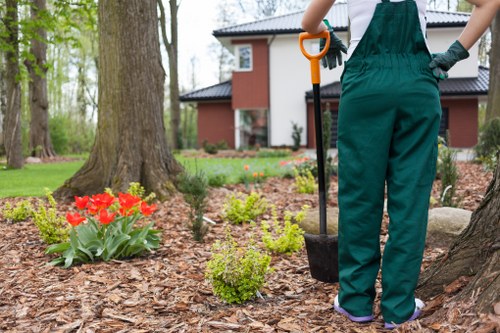A person wearing green gardening overalls is standing in a well-maintained front garden in West Ham, holding a spade with an orange handle, preparing to plant or tend to a small shrub with light green, leafy foliage. The garden features a lush, neatly edged lawn with vibrant, blooming red tulips and other small flowering plants arranged around a large mature tree with a textured bark trunk. Mulch covers the soil beds, providing a tidy appearance and helping retain moisture. In the background, a modern, red-brick detached house with large windows and a dark tiled roof is visible, surrounded by additional mature trees and greenery. The outdoor scene is illuminated by natural daylight, suggesting a clear, pleasant weather condition suitable for gardening activities, aligning with professional gardening and landscaping services such as those offered by Landscapers West Ham to enhance local outdoor spaces.