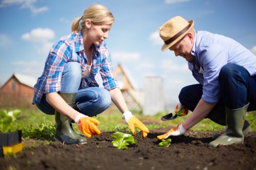 The image features a woman and a man working together in a garden during daytime, both wearing rubber boots and gloves, actively planting a young green shrub or flower in freshly turned soil. The garden layout includes a neatly maintained lawn area with dark, rich soil and a visible border around the planting bed. In the background, there are trees and residential buildings, suggesting a suburban outdoor space typical of West Ham. The scene is well-lit with natural sunlight, indicating clear weather, and the overall environment appears tidy and well-kept, reflecting professional landscaping and gardening practices. This setting exemplifies typical garden maintenance activities carried out by local landscapers such as Landscapers West Ham, who specialise in creating and maintaining vibrant outdoor spaces in the area.