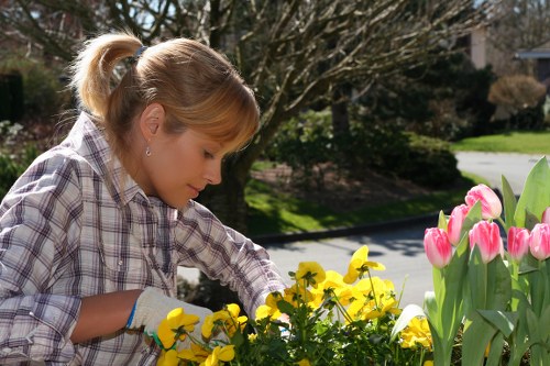 A young woman with blonde hair tied back in a ponytail, wearing a plaid shirt and gardening gloves, is tending to a flower bed in a suburban garden. The foreground features a dense cluster of yellow daffodils with bright yellow petals and trumpet-shaped coronas, alongside pink tulips with large, rounded petals. The garden surface is composed of dark soil and some sandy patches, with a concrete path visible in the background. Behind her, there are various trees with bare branches, indicating early spring, and a well-maintained lawn with green grass extending into the distance. Sunlight illuminates the garden, casting natural shadows and highlighting the vibrant colours of the flowers. The scene suggests outdoor gardening activities typical of a residential property in West Ham, incorporating flowers, soil, and typical garden landscaping elements, reflecting professional gardening practices by landscapers like Landscapers West Ham.