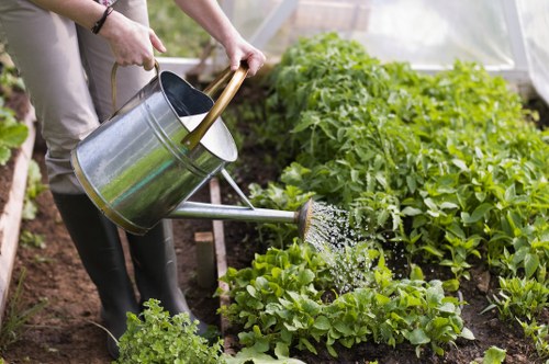 The image shows a person watering a vegetable garden with a metal watering can, standing in front of lush green plants that include leafy greens and possibly tomato plants. The garden is situated outdoors in a well-maintained, earth-filled bed with visible soil around the plants. In the background, there is a greenhouse structure made of translucent panels, indicating a controlled environment for gardening. The person is dressed casually, and the scene is lit by natural daylight, suggesting a mild and clear weather condition. The garden layout features organized rows of vegetables, with healthy, vibrant foliage exhibiting various shades of green. The soil appears moist and rich, supporting sustainable gardening practices. This scene illustrates typical outdoor garden maintenance and aligns naturally with professional gardening services offered by companies like Landscapers West Ham, who might specialise in garden care, vegetable patch cultivation, and outdoor landscape management in the local area.