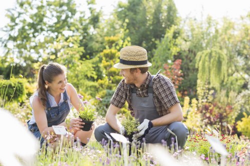 A gardener and an outdoor enthusiast are working together in a lush garden setting, surrounded by vibrant flowering plants, shrubs, and a well-maintained lawn. The individual on the right, wearing a straw hat, checkered shirt, and gardening gloves, is kneeling on the grass with a small plant in hand, preparing to plant it. The person on the left, dressed in a sleeveless top, is holding a black plastic pot with soil and flowers, smiling as they collaborate. In the background, there are mature trees with green foliage providing natural shade, along with neatly trimmed hedges and flower beds that add order and colour to the garden. The scene is bathed in soft, natural sunlight, indicating a clear and pleasant day. This outdoor garden space showcases a mix of natural tones, such as various shades of green, purple, and pink flowers, with textures ranging from soft grass to textured plant leaves and barked trees. The environment is a well-kept domestic garden, suitable for gardening and landscaping services, and reflects the attention to detail and maintenance typical of professional landscapers like Landscapers West Ham operating in the local area around West Ham and nearby postcode districts. The setting supports outdoor gardening activities, highlighting the beauty and functionality of a thoughtfully maintained yard or garden area. The image captures the essence of garden care and planting, essential aspects of professional landscaping services.